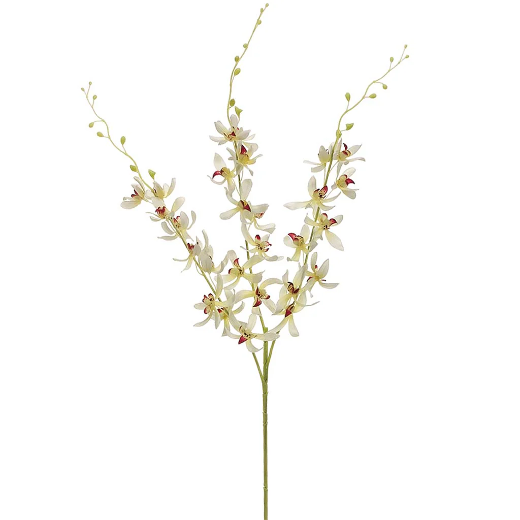 Dendrobium Orchid Spray x3 39in Cream Orchid