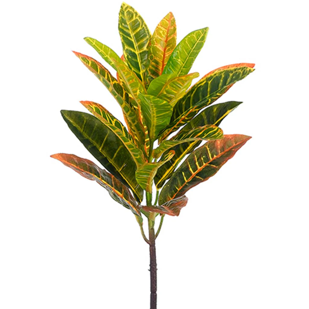 Croton Spray 21in Yellow Green