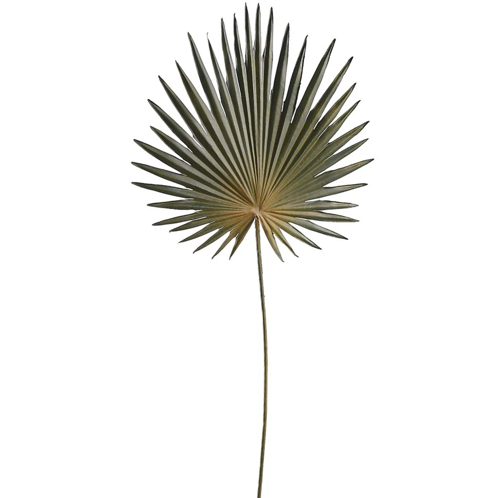 Fan Palm Spray 30in Green Gray - Image 3
