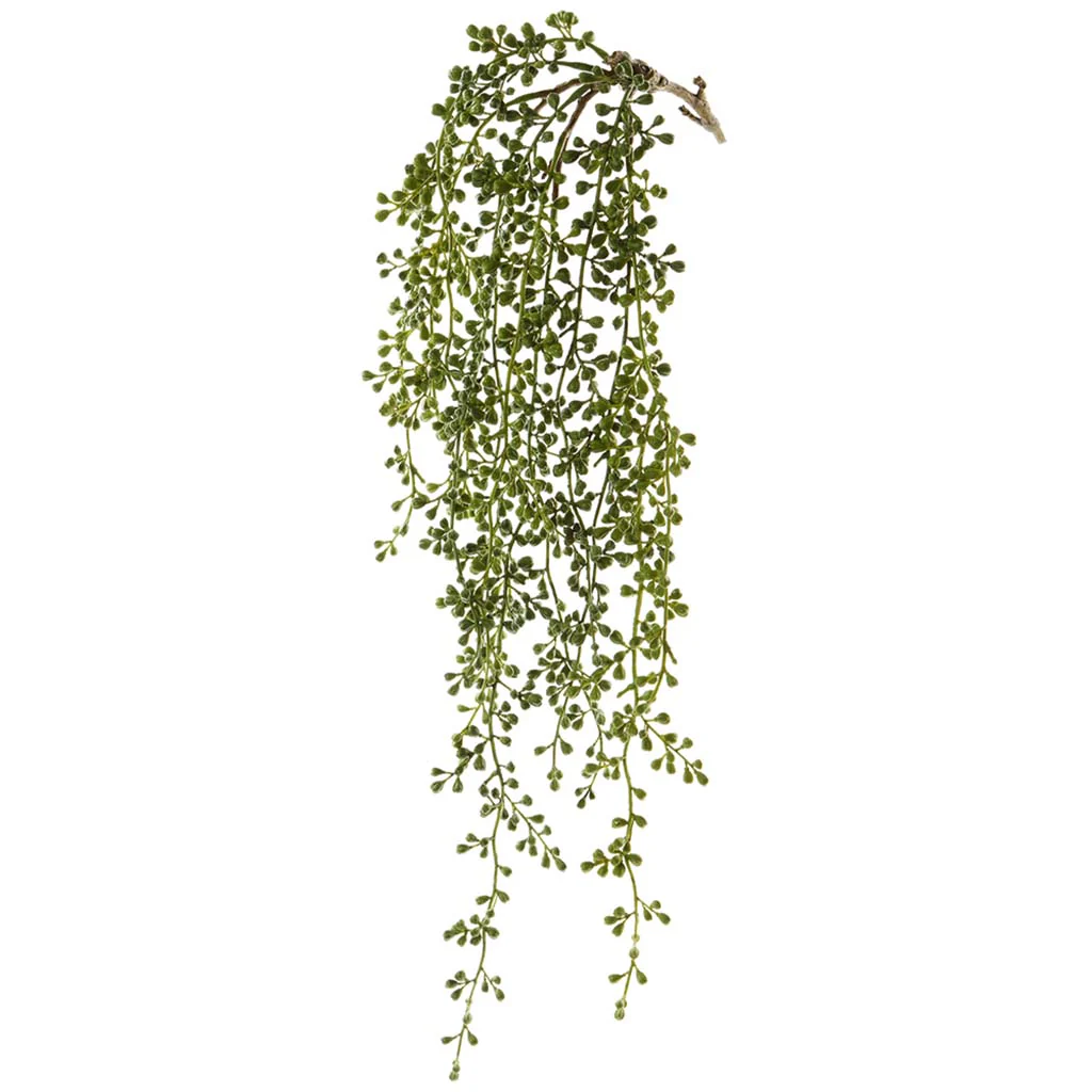 String of Pearl Hanging 27in Spray Green