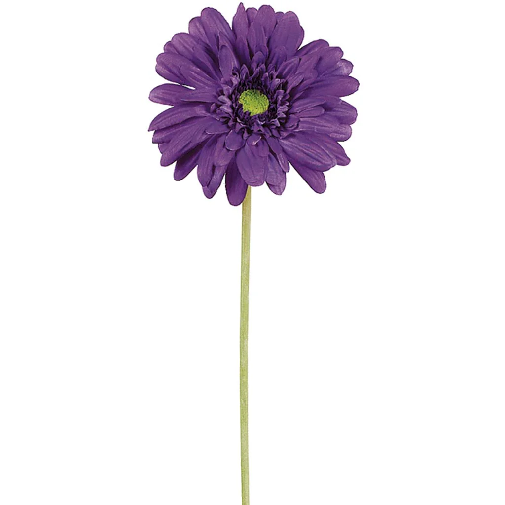 Medium Gerbera Daisy Spray 21.5in Purple