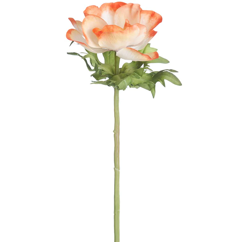 Anemone Spray 17.5in Coral Cream