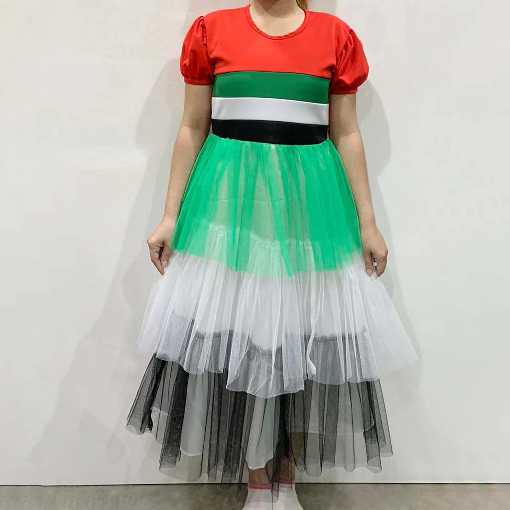 Uae Dress With Mesh Size 10 - Image 2