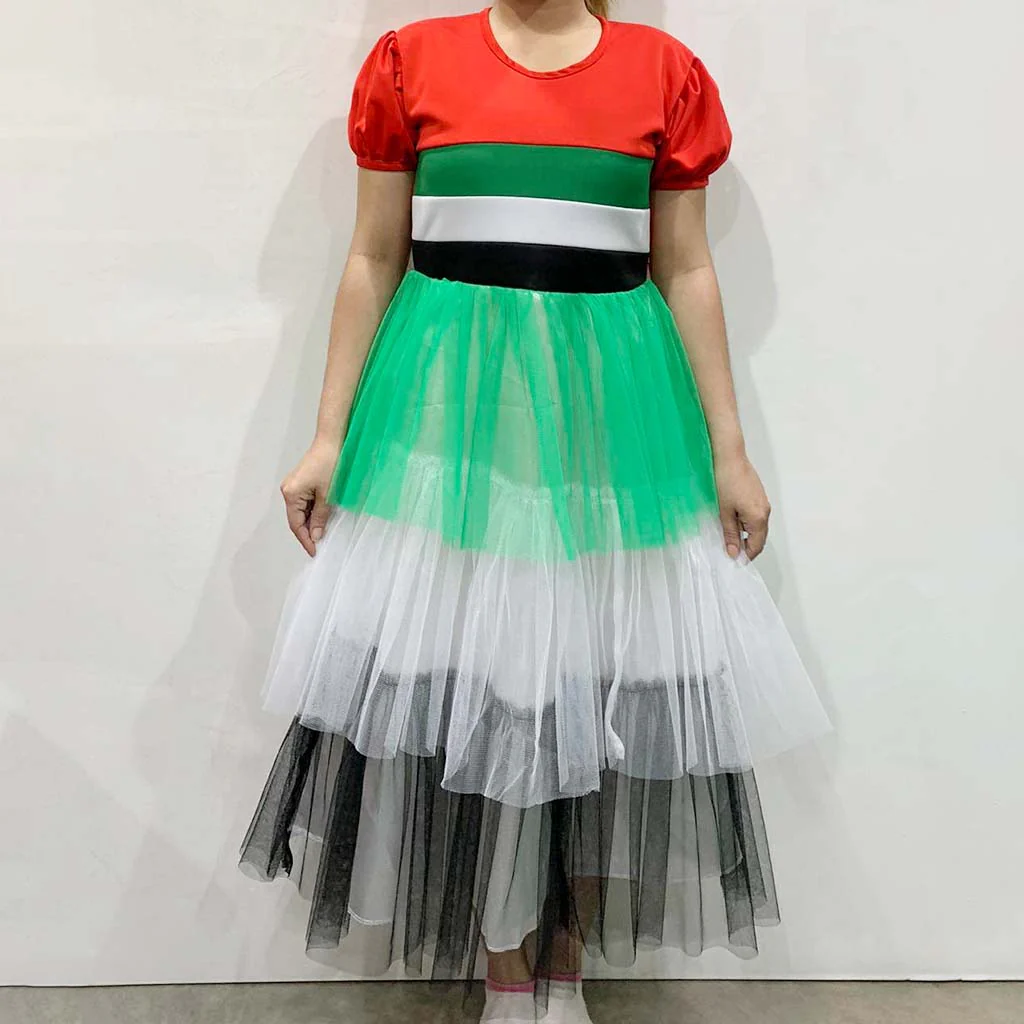 Uae Dress With Mesh Size 10 - Image 6