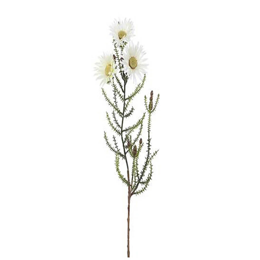 Blooming Kaaps Green Spray 24in White