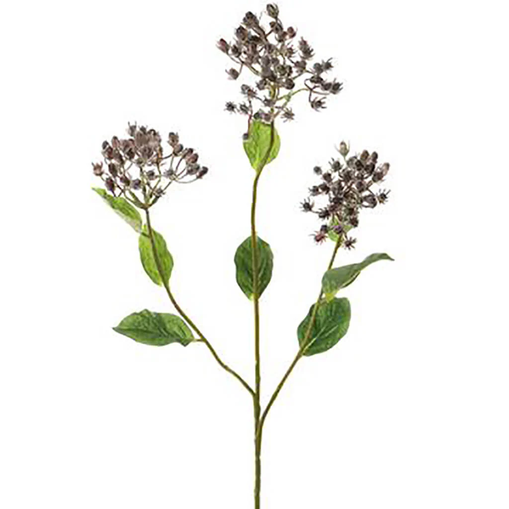 Hypericum Berry Spray 31in Purple