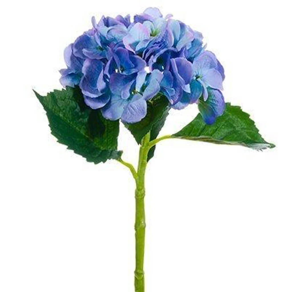 Large Single Hydrangea Spray w/Water-Resistant Stem 19in Two Tone Helio
