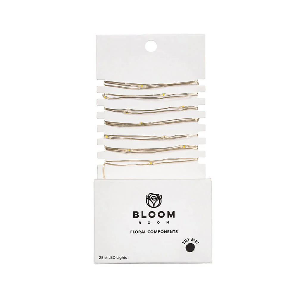 Bloom Room 25ct LED Mini Silver Wire with Warm White String Lights