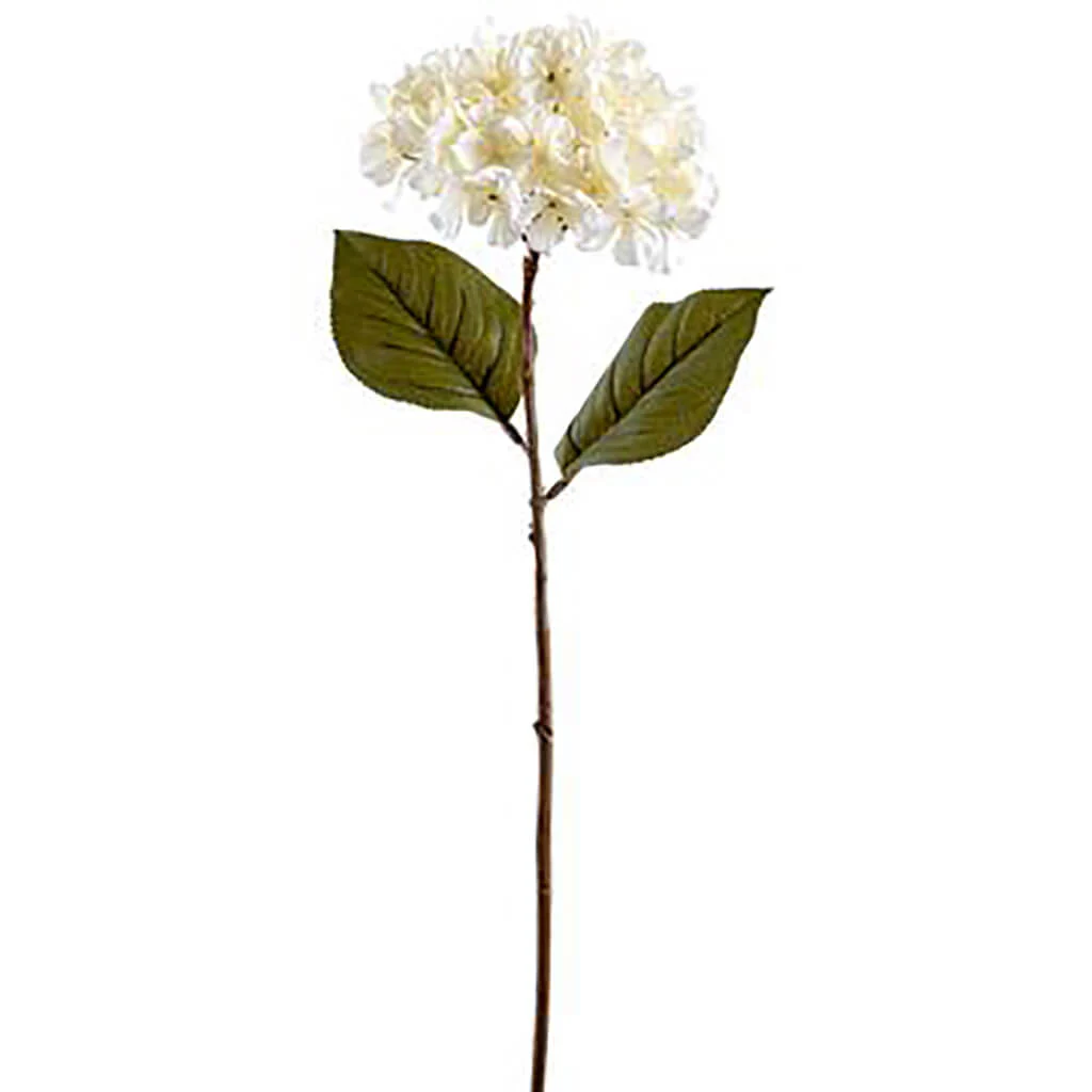 Hydrangea Spray 37in Cream