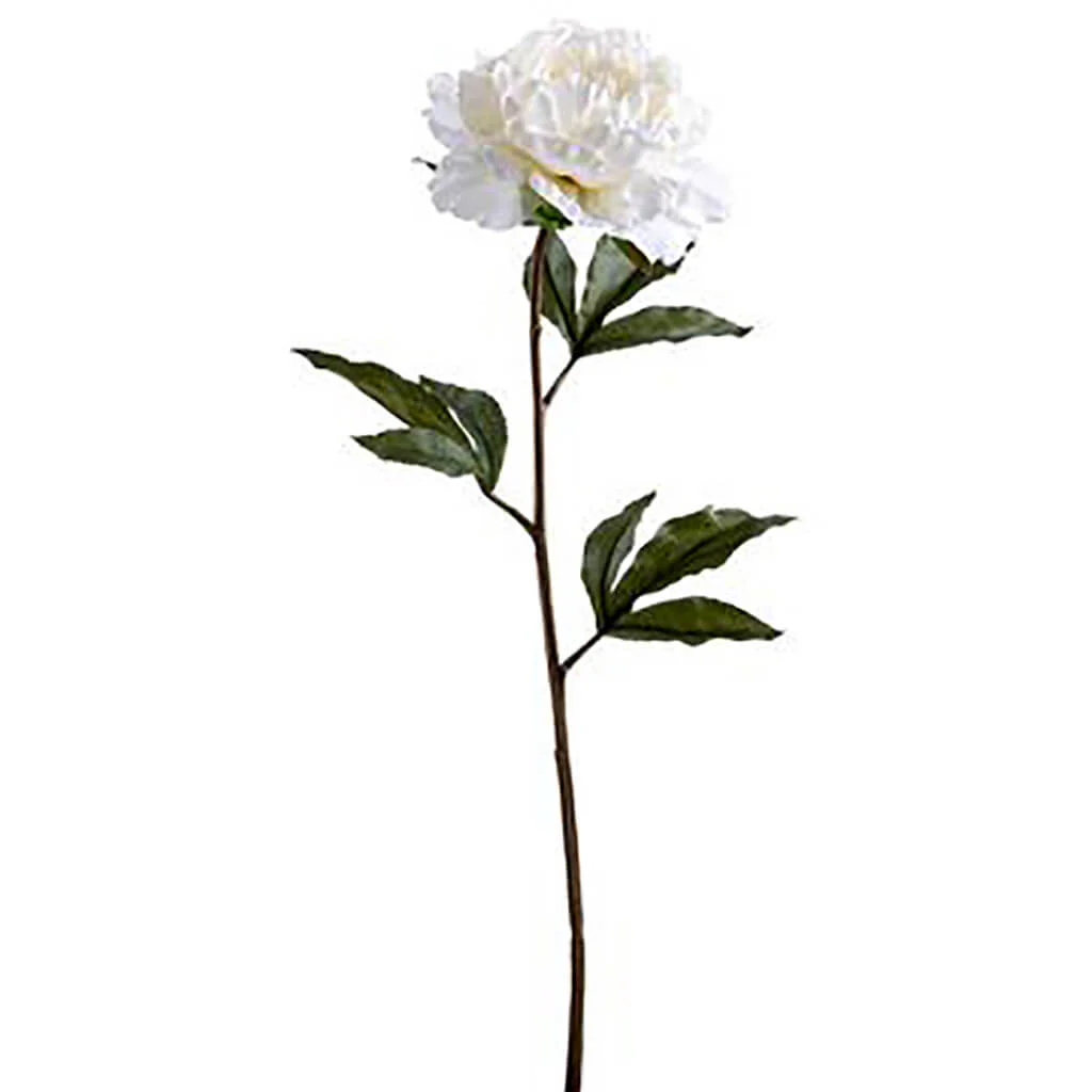 Peony Spray 25in Cream