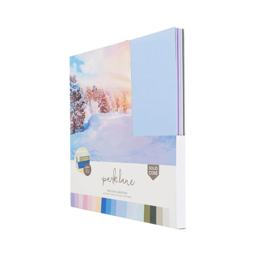 Winter Precision Cardstock Paper Pack 60 Sheet 12in x 12in