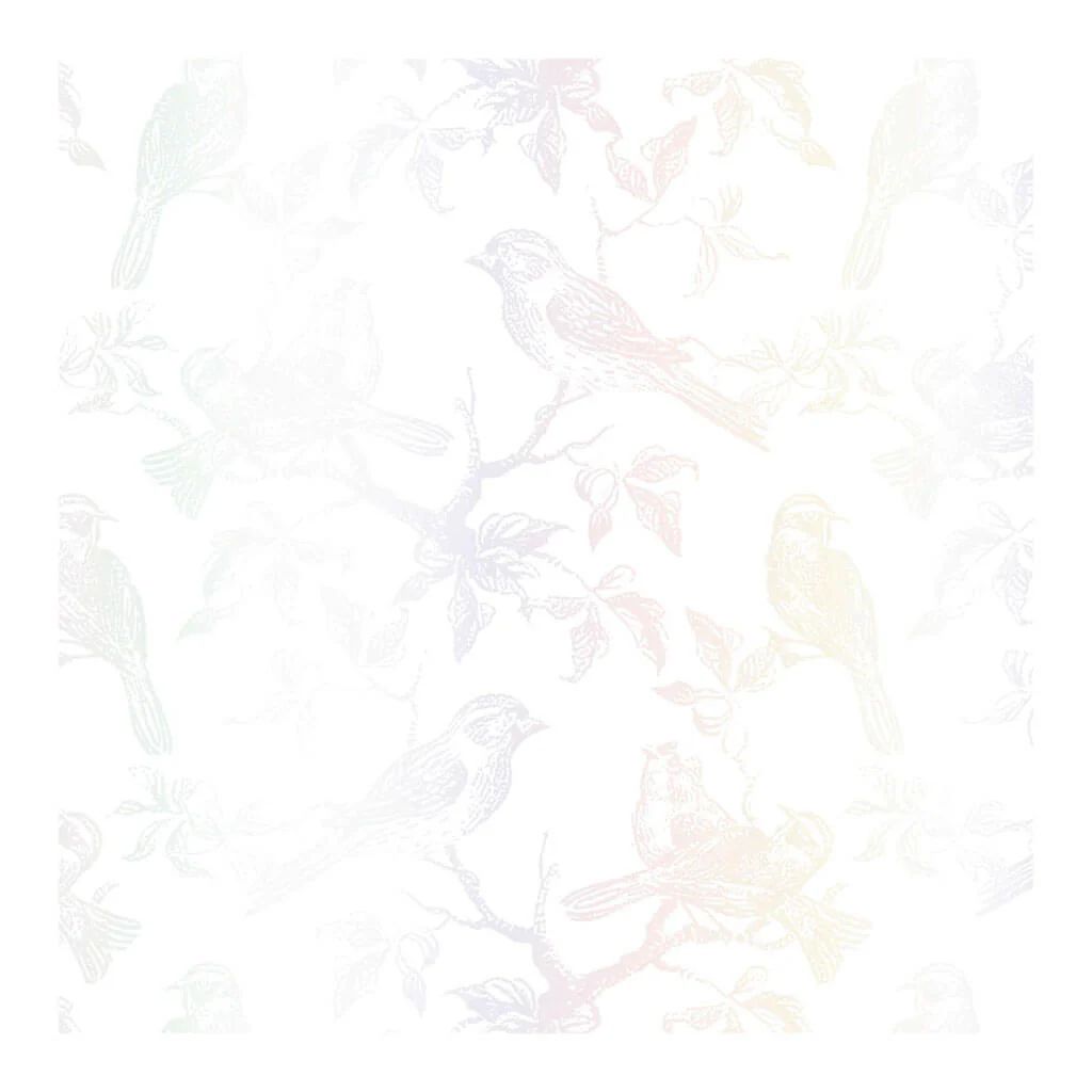 Wings Of Pearl Gift Wrap Roll, 5ft