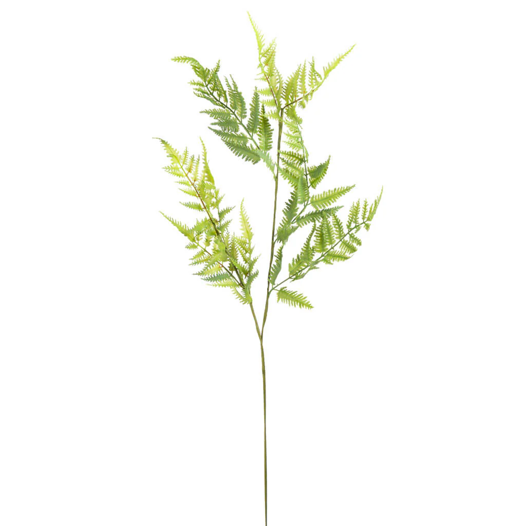 Green Fern Stem, 35in
