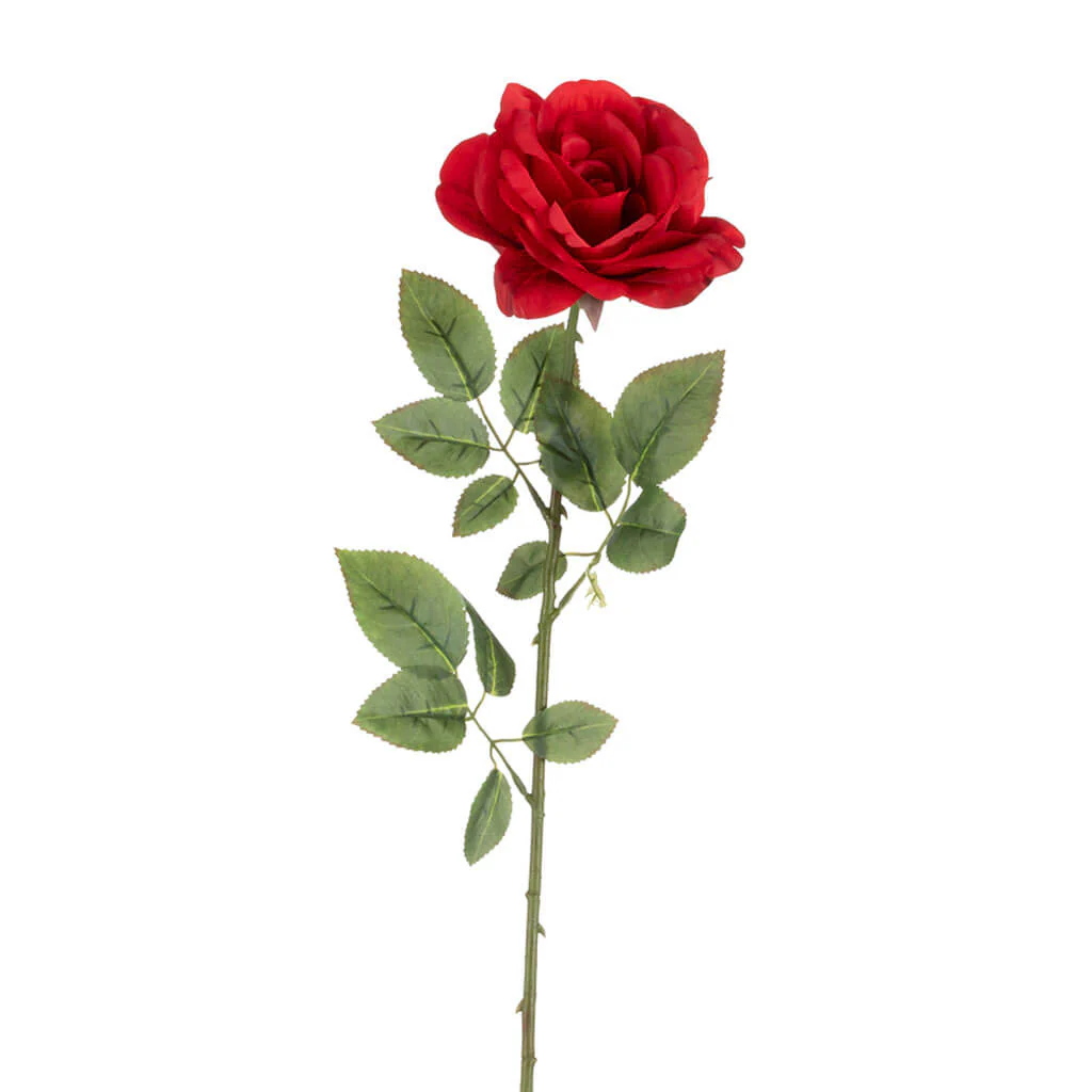 Red Rose Stem, 30.5in