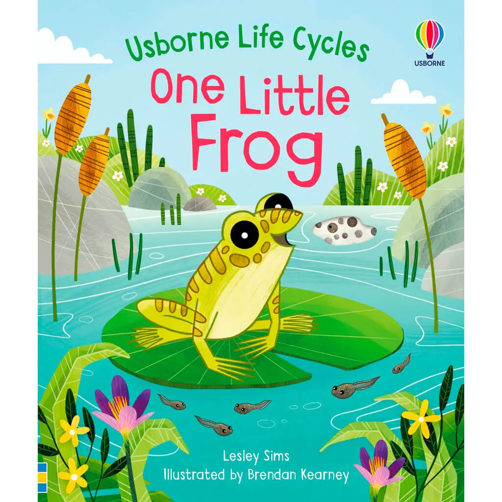 Usborne One Little Frog