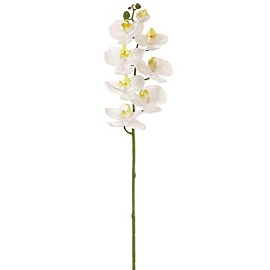 Phalaenopsis Orchid Spray With 8 Flowers 30in White