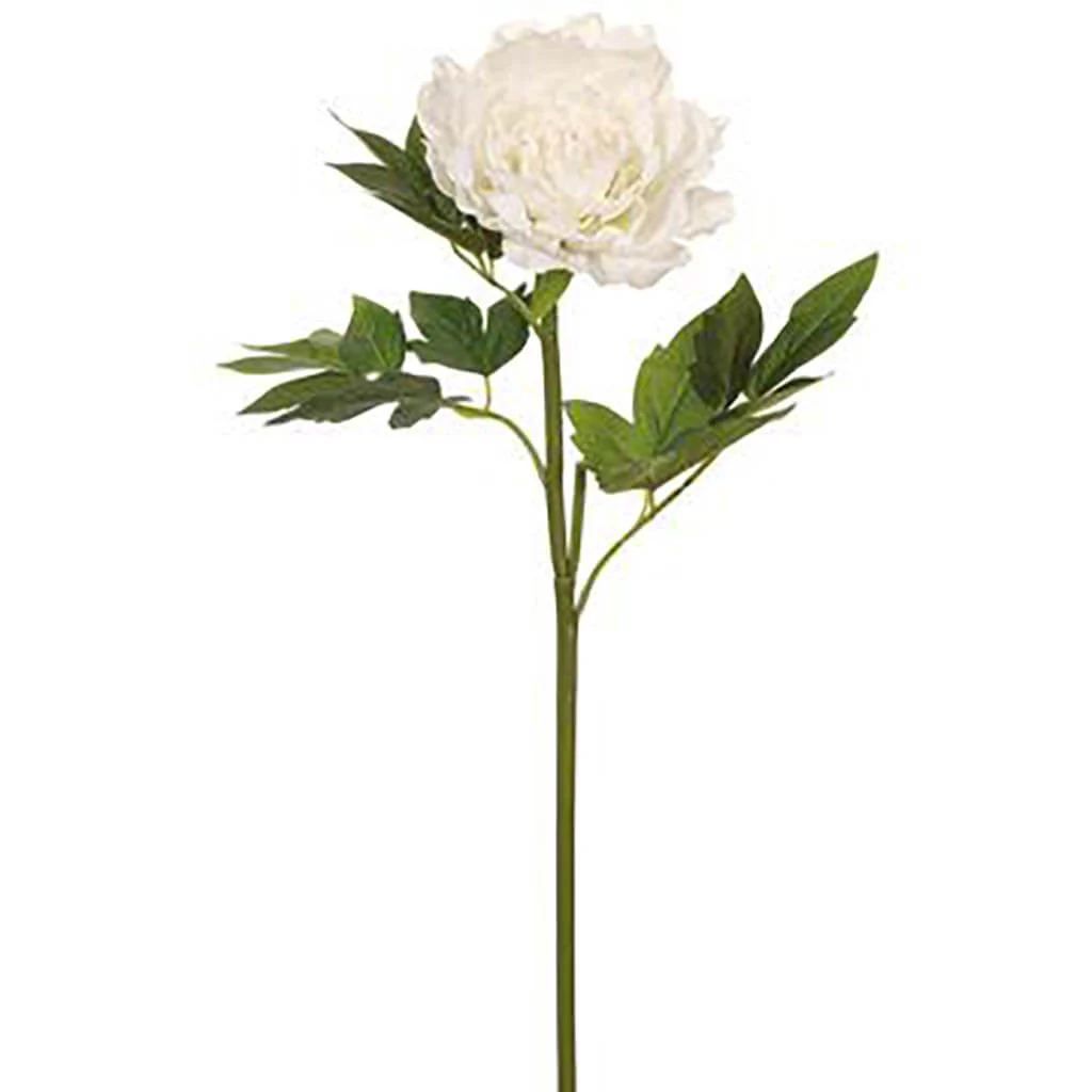 Peony Spray 23.5in White