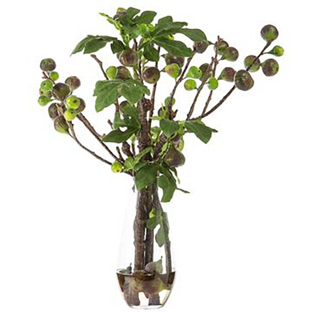 Fig Branches in Glass Vase Green Burgundy, 31in