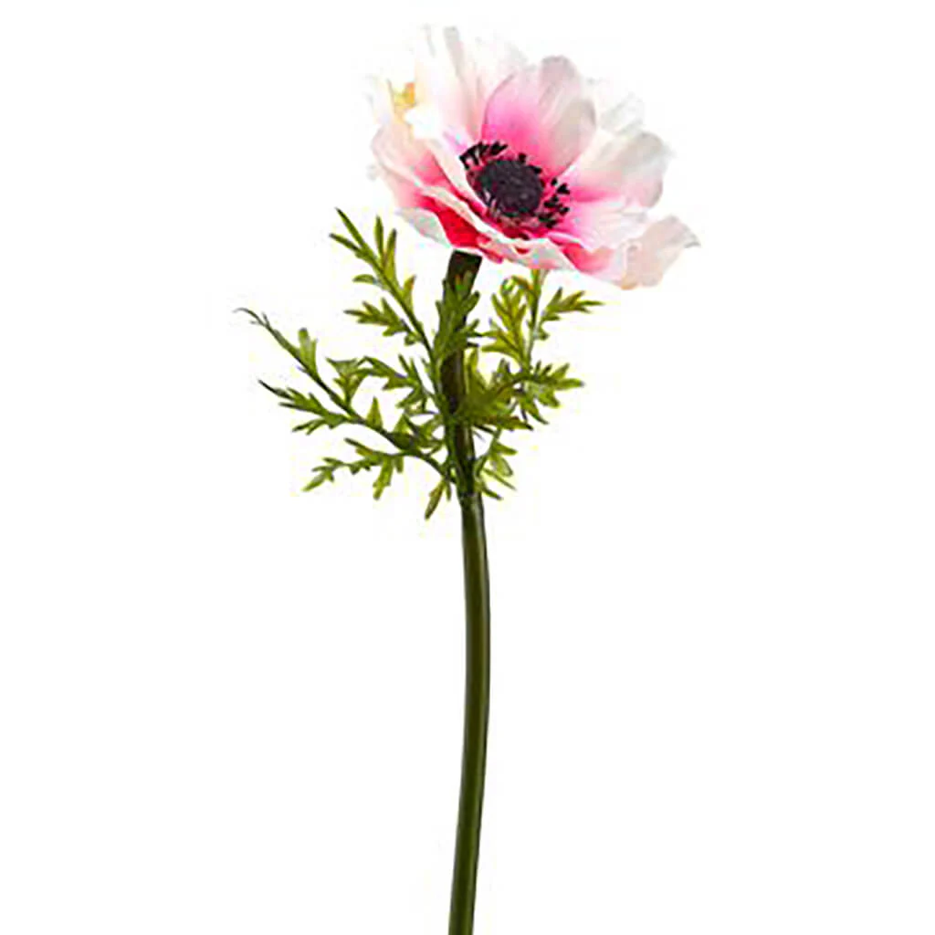 ANEMONE SPRAY 17" WHITE PINK