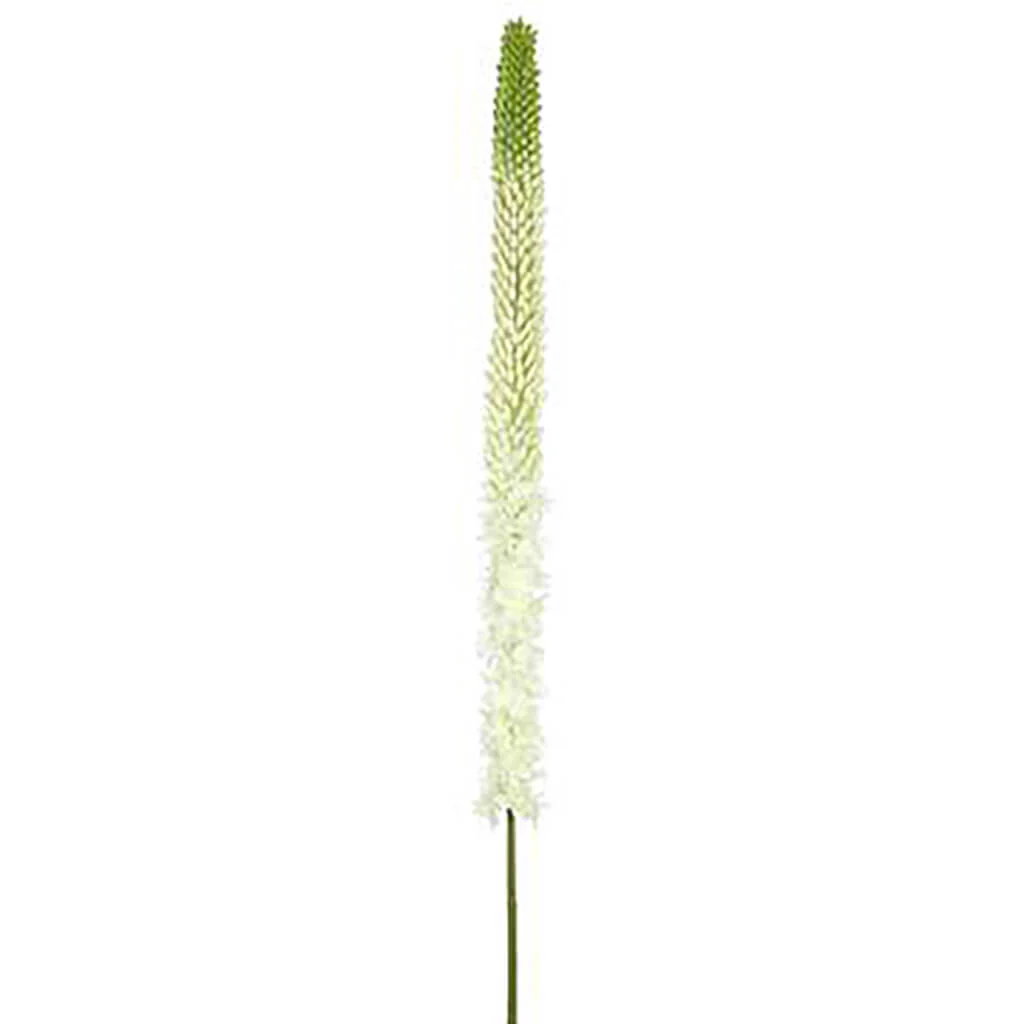 Foxtail Lily Spray 51in White Green