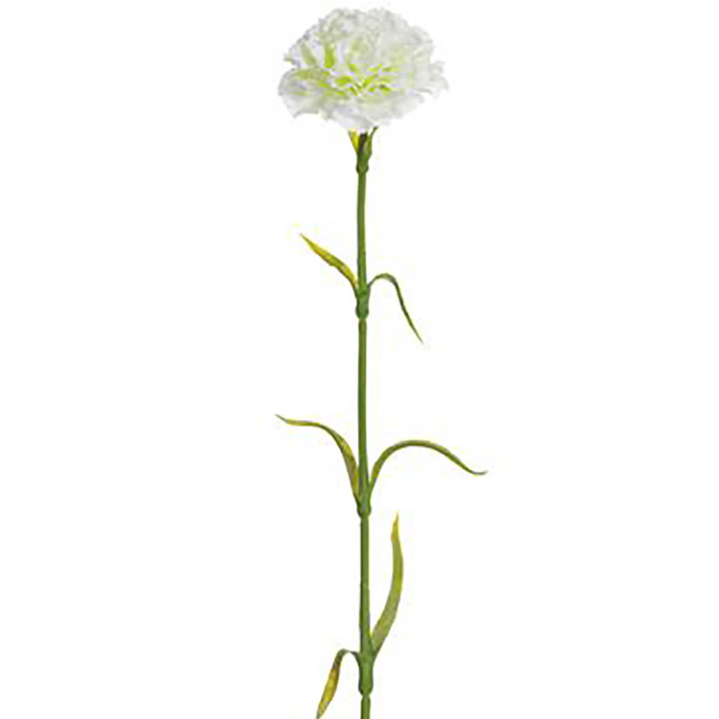 Carnation Spray 17in White