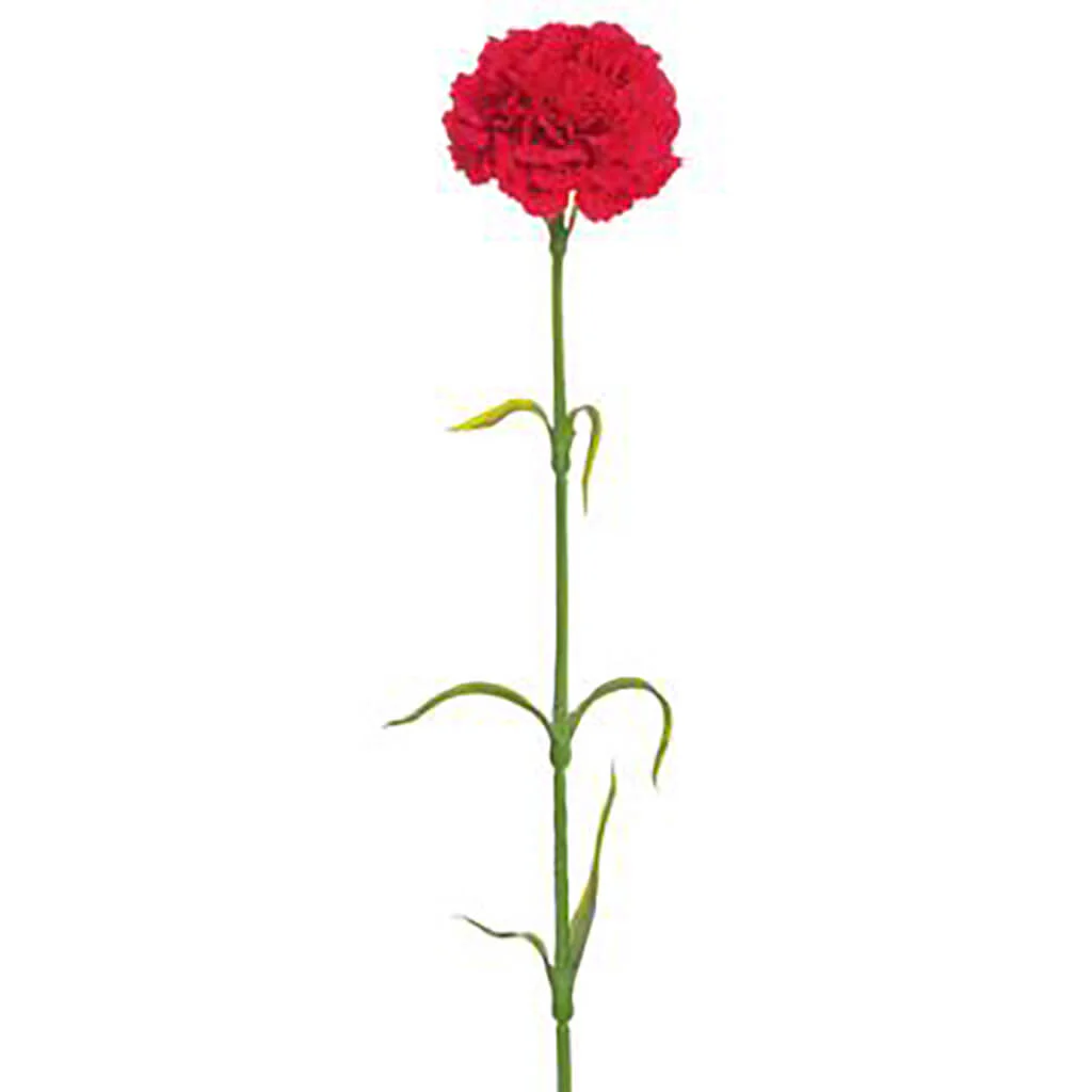 Carnation Spray 17in Red