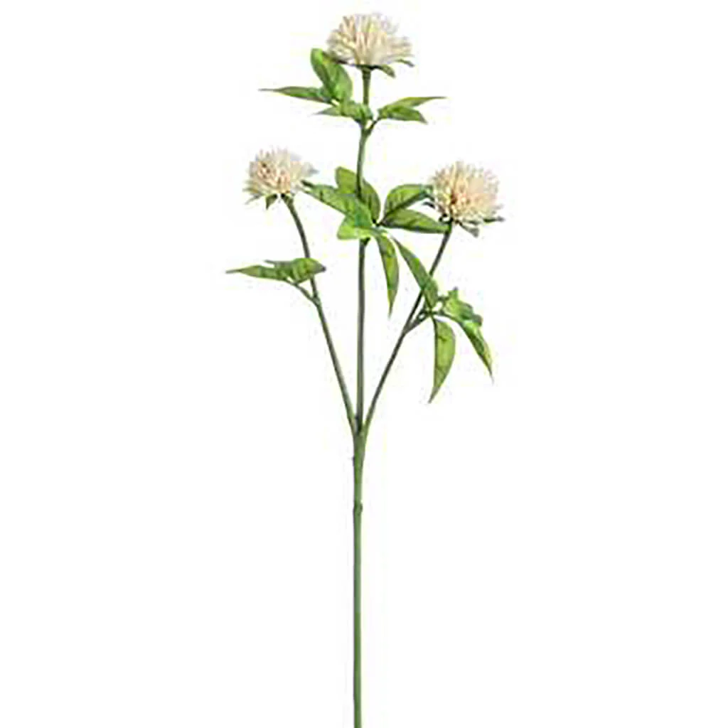 Clover Spray 21.5in Cream