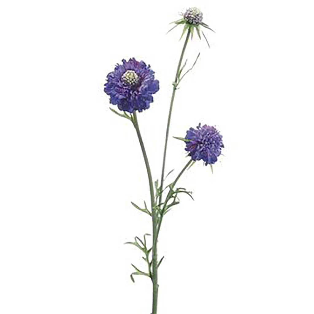 Scabiosa Spray 28in Blue Violet