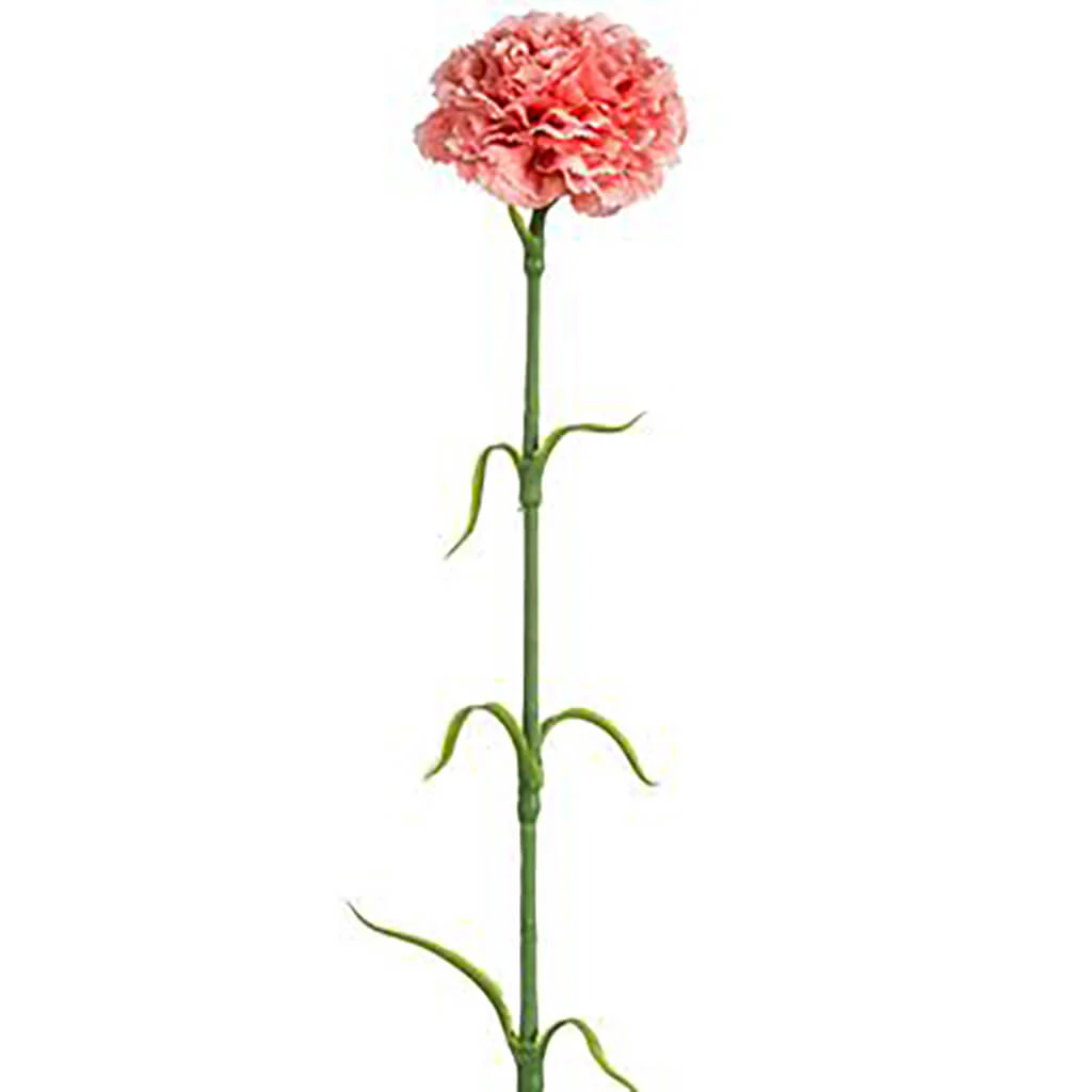 Carnation Spray 17in Pink