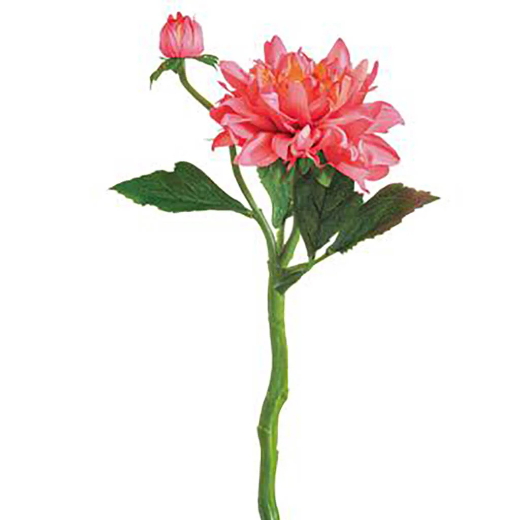 DAHLIA SPRAY 13.5" WATERMELON
