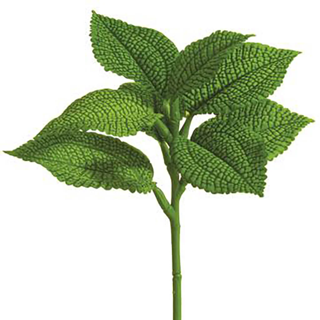 Coleus Leaf Spray 10in Green