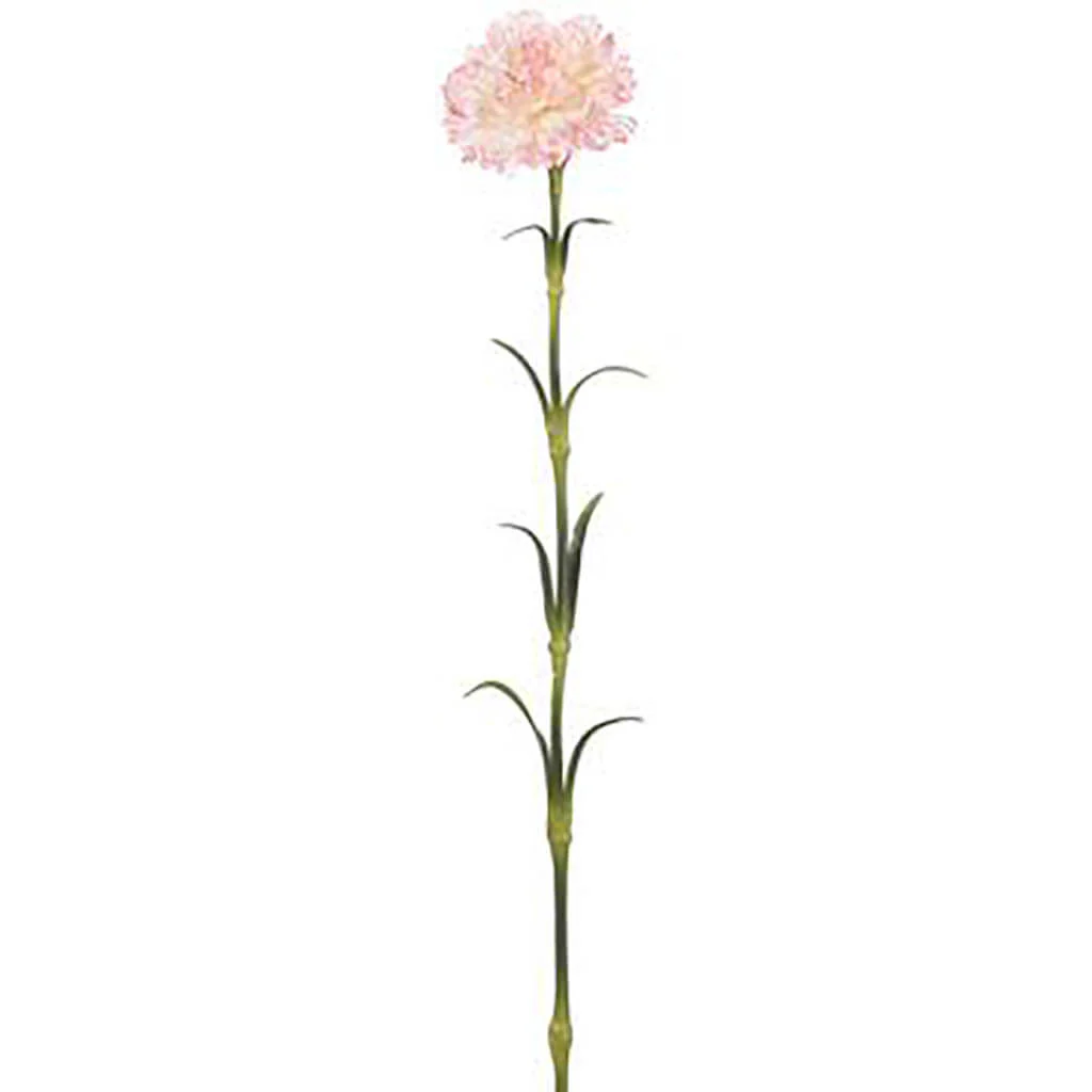 Carnation Spray 25.5in Blush