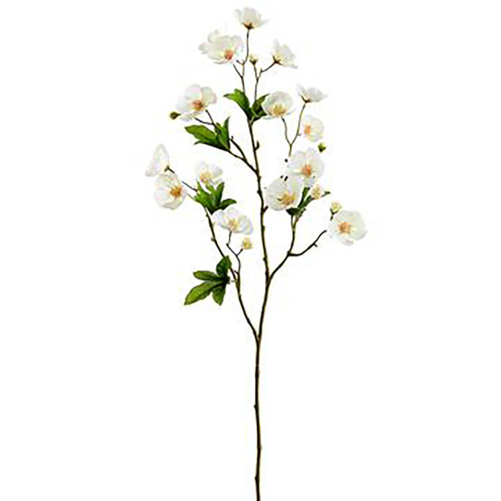 Cape Mallow Spray 31in Cream