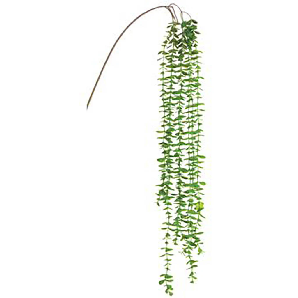 Round Leaf Hanging Spray 40in Green