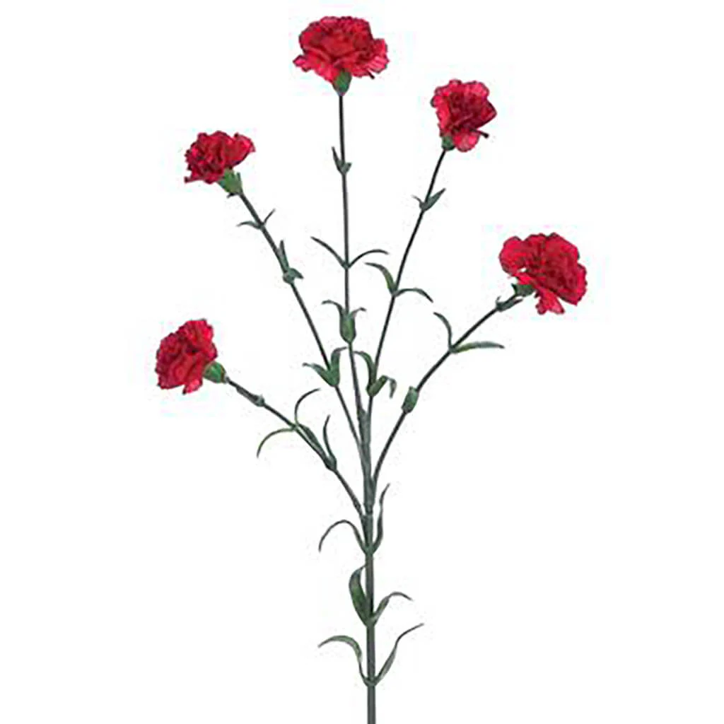 Mini Carnation Spray 27.5in Crimson