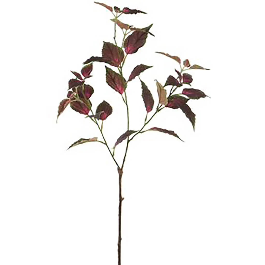 Coleus Spray 31in Purple Green