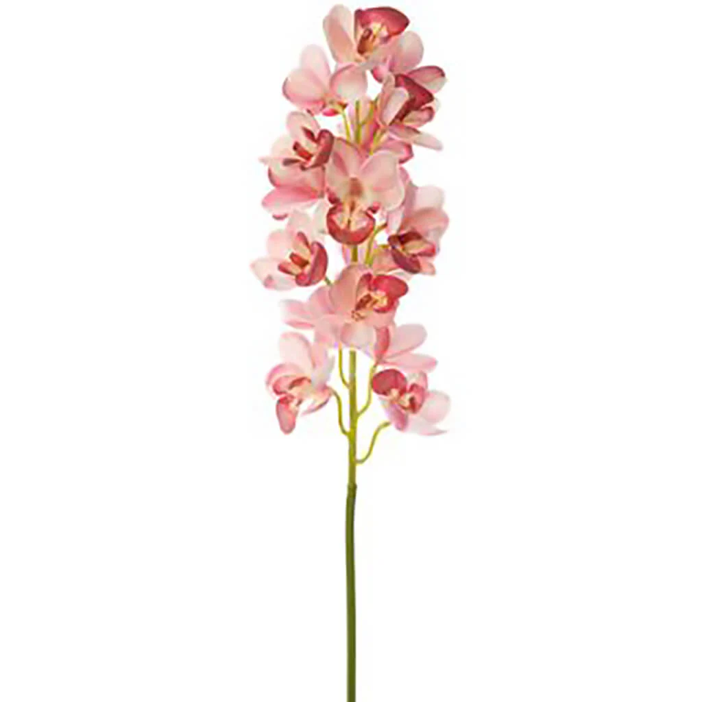 Cymbidium Orchid Spray 30in Pink