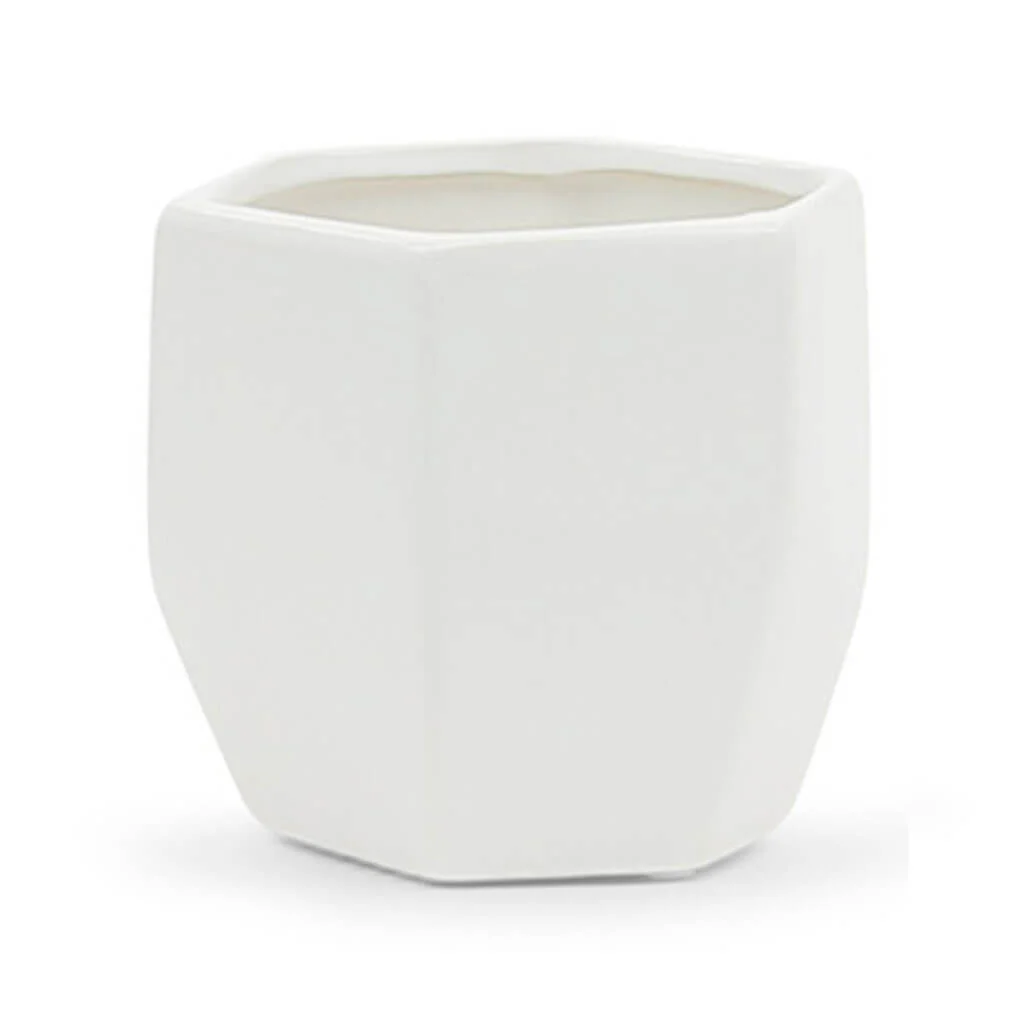 Small Geometric Pot Matte White 4.2in x 4.2in