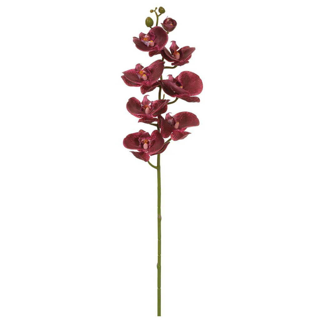 Real Touch Phalaenopsis Orchid Spray With 8 Flowers 30in Plum