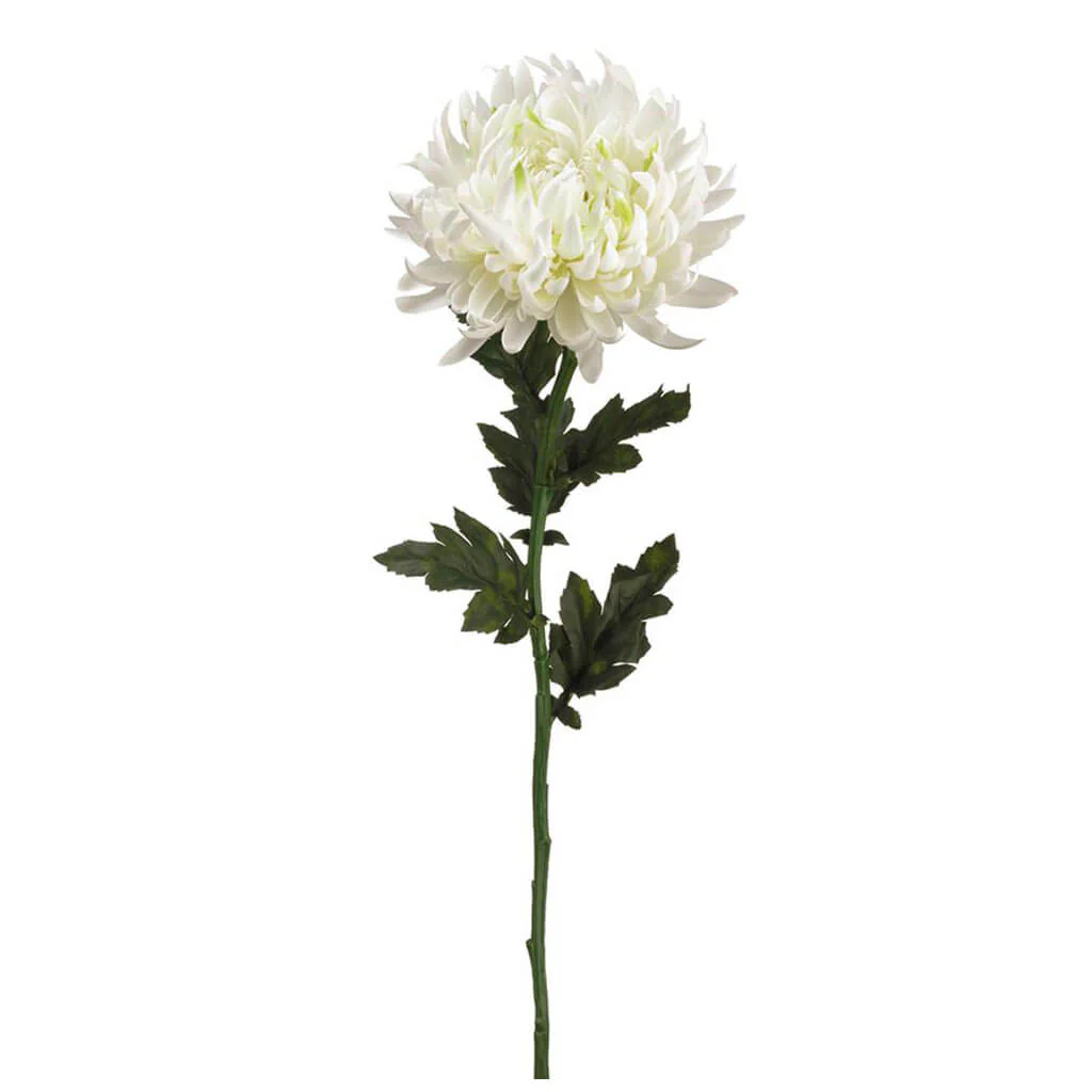 Chrysanthemum Spray 24in White