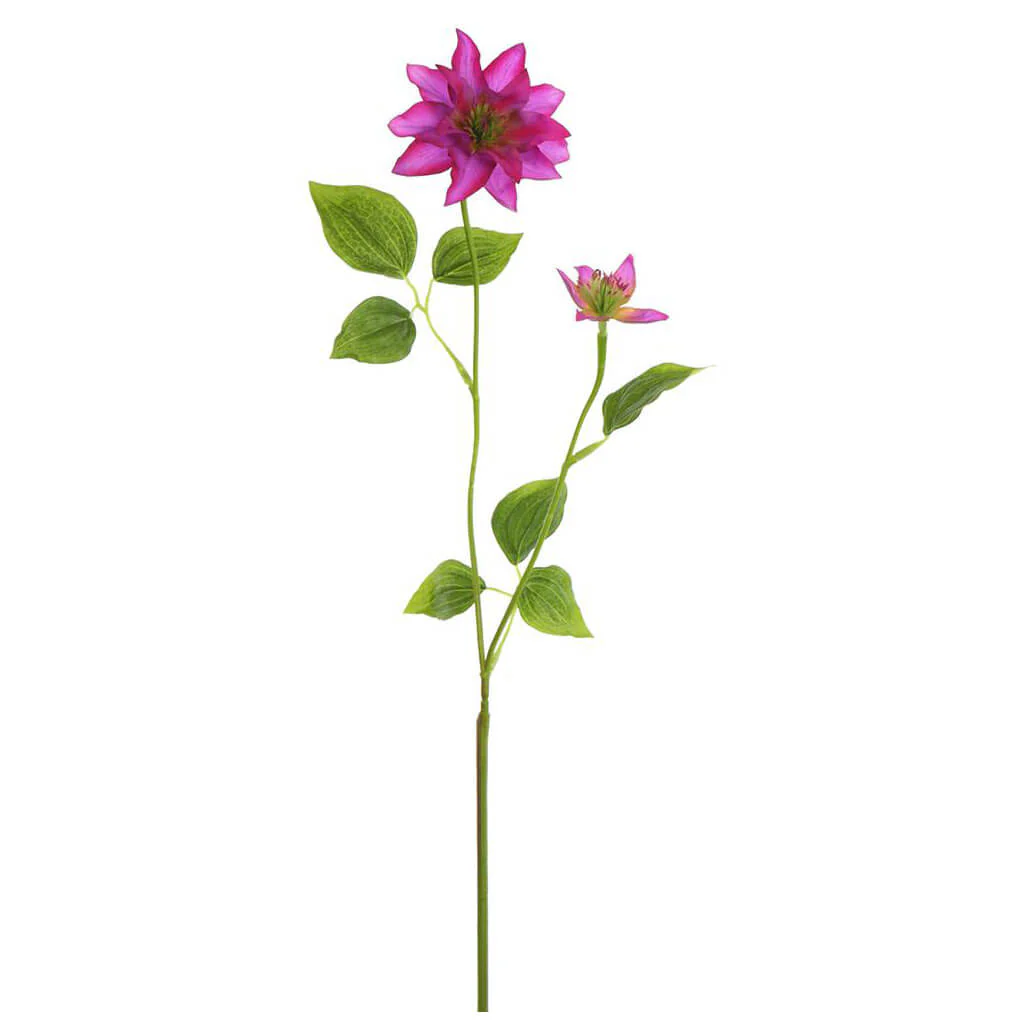 Clematis Spray 29.25in Orchid