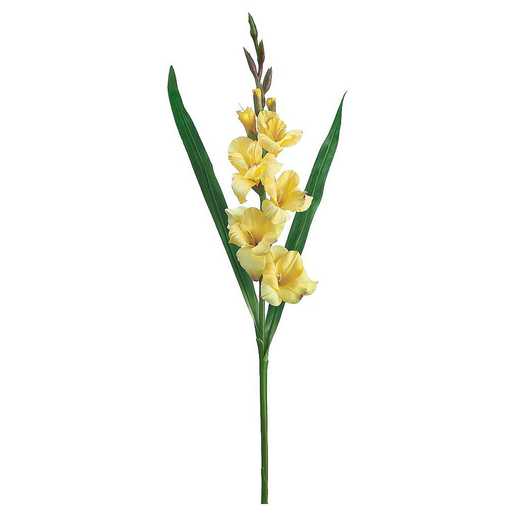 Gladiolus Spray 33in Yellow