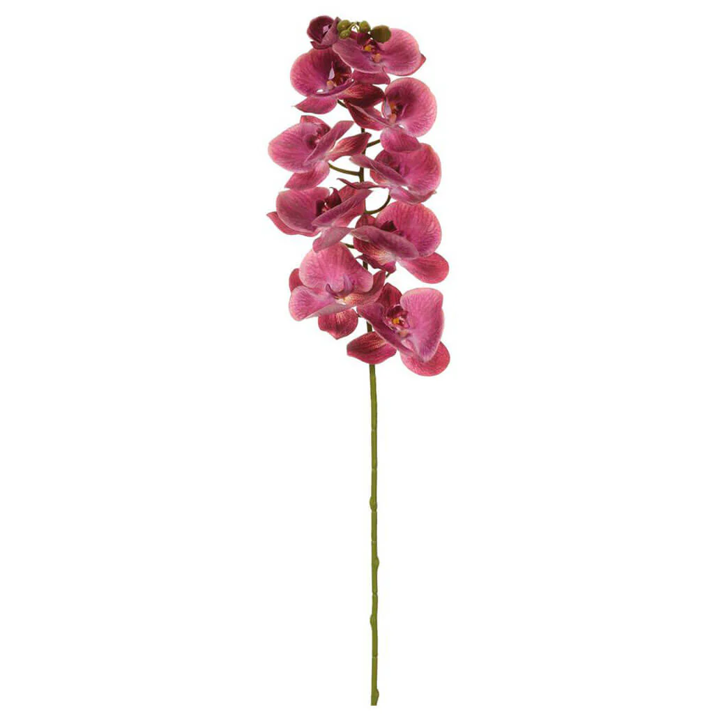 Real Touch Phalaenopsis Orchid Spray With 10 Flowers 42.5in Plum