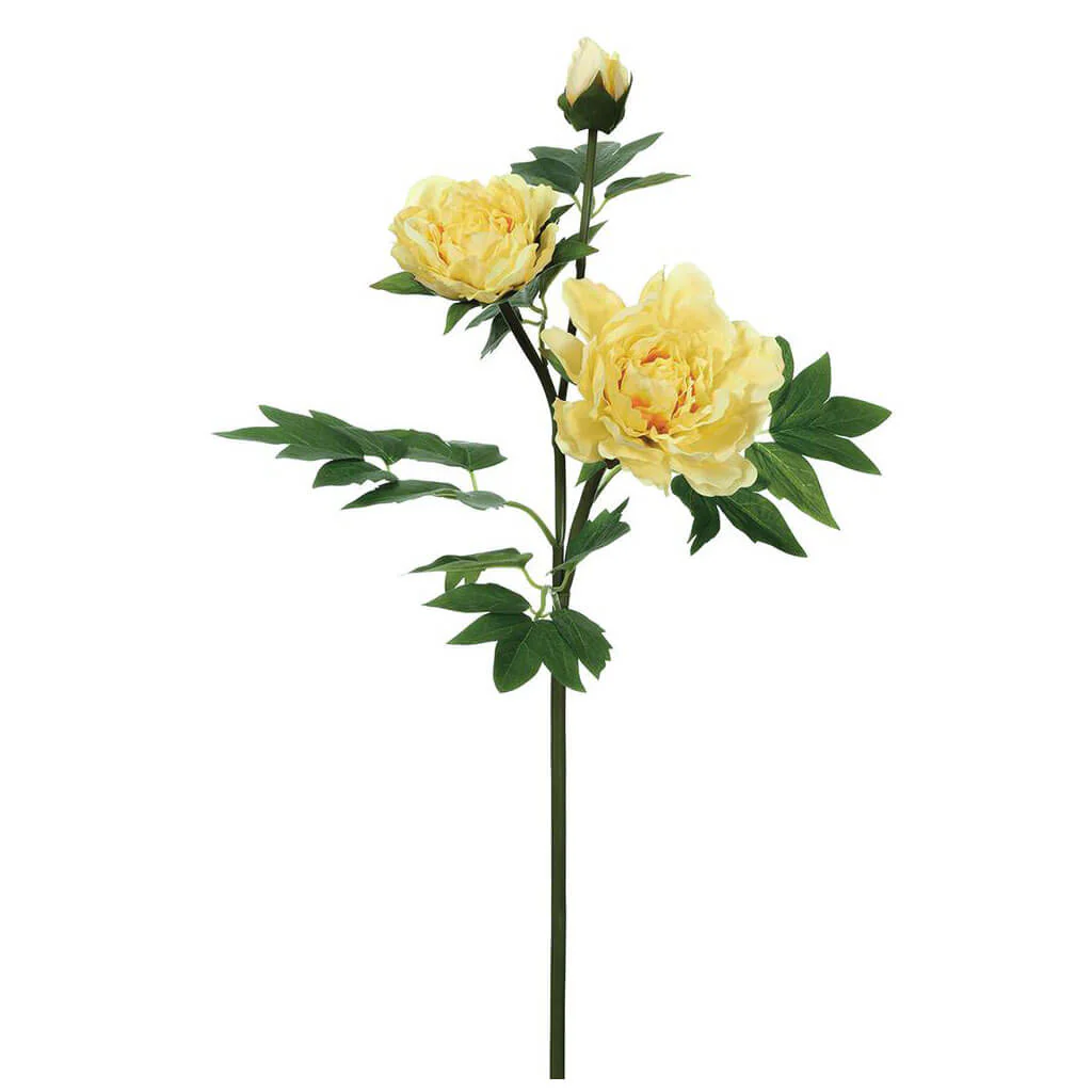 Real Touch Peony Spray With 2 Flowers and 1 Bud 26.75in Yellow