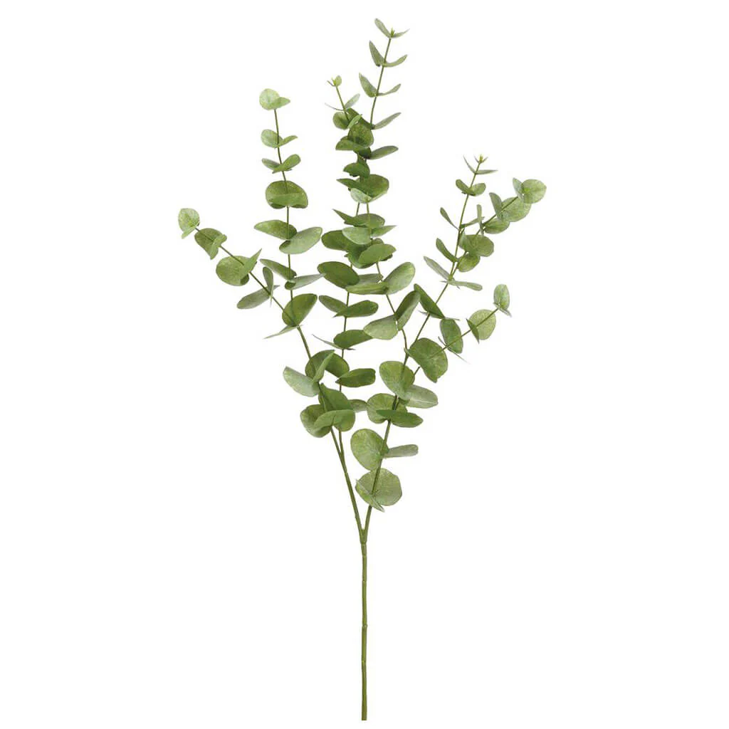 Eucalyptus Spray 40in Light Green