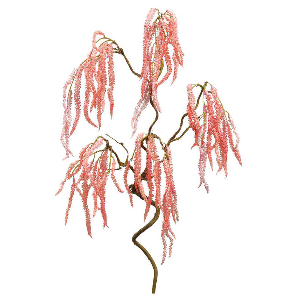 Amaranthus Spray 36in Pink