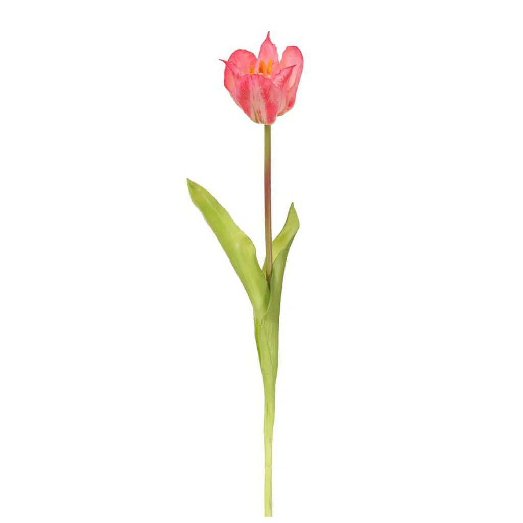 Tulip Spray 19.25in Boysenberry