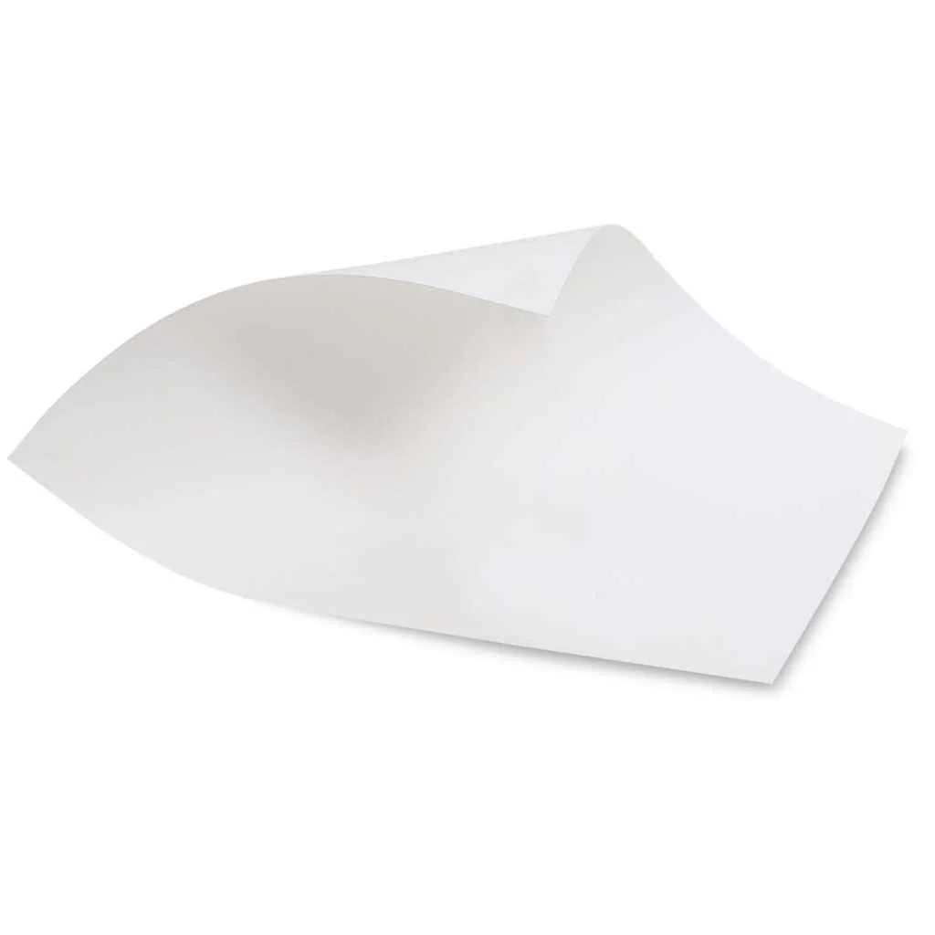 Bristol Sheet Vellum 4Ply, 22in x 30in