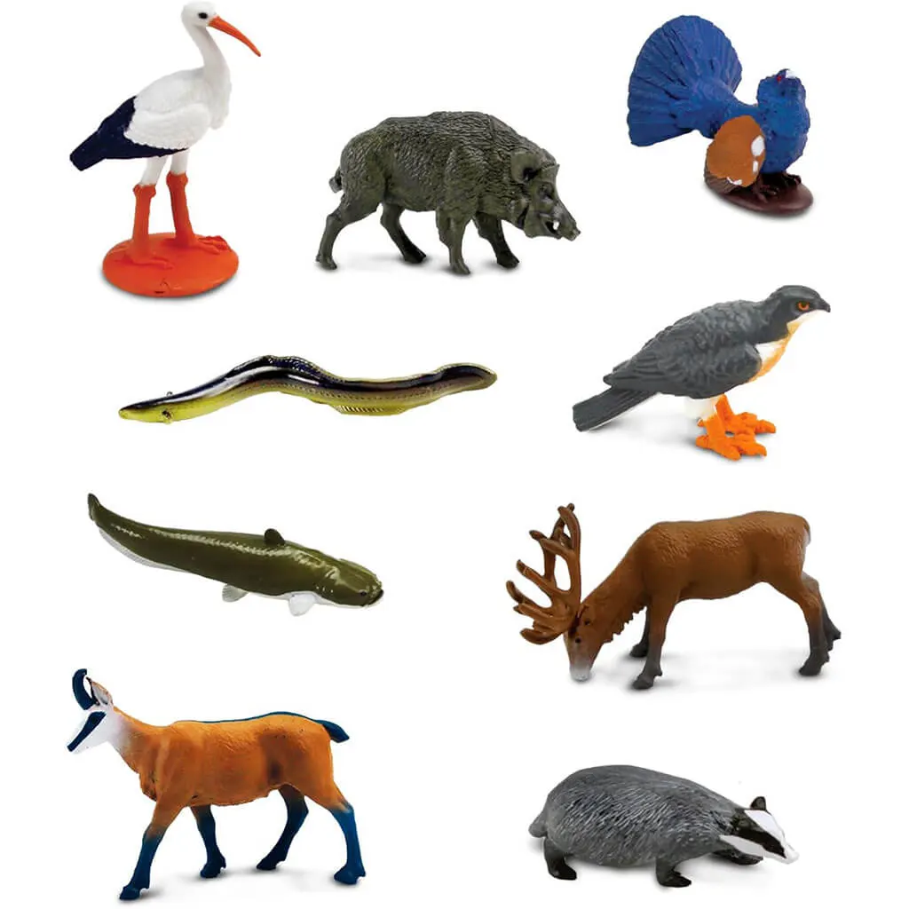 European Animals
