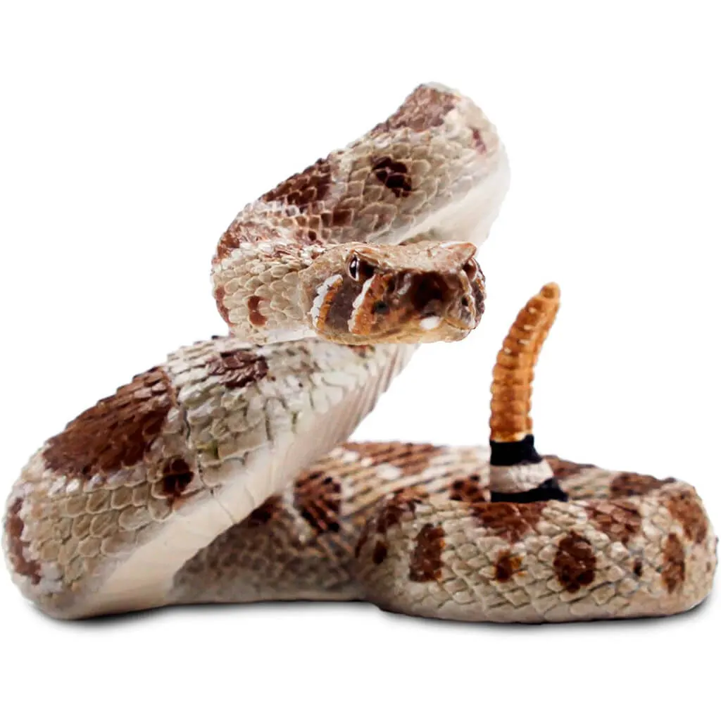 Western Diamondback Rattlesnake
